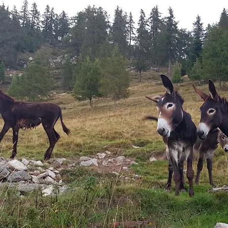La Baita Di Heidi * Craveggia